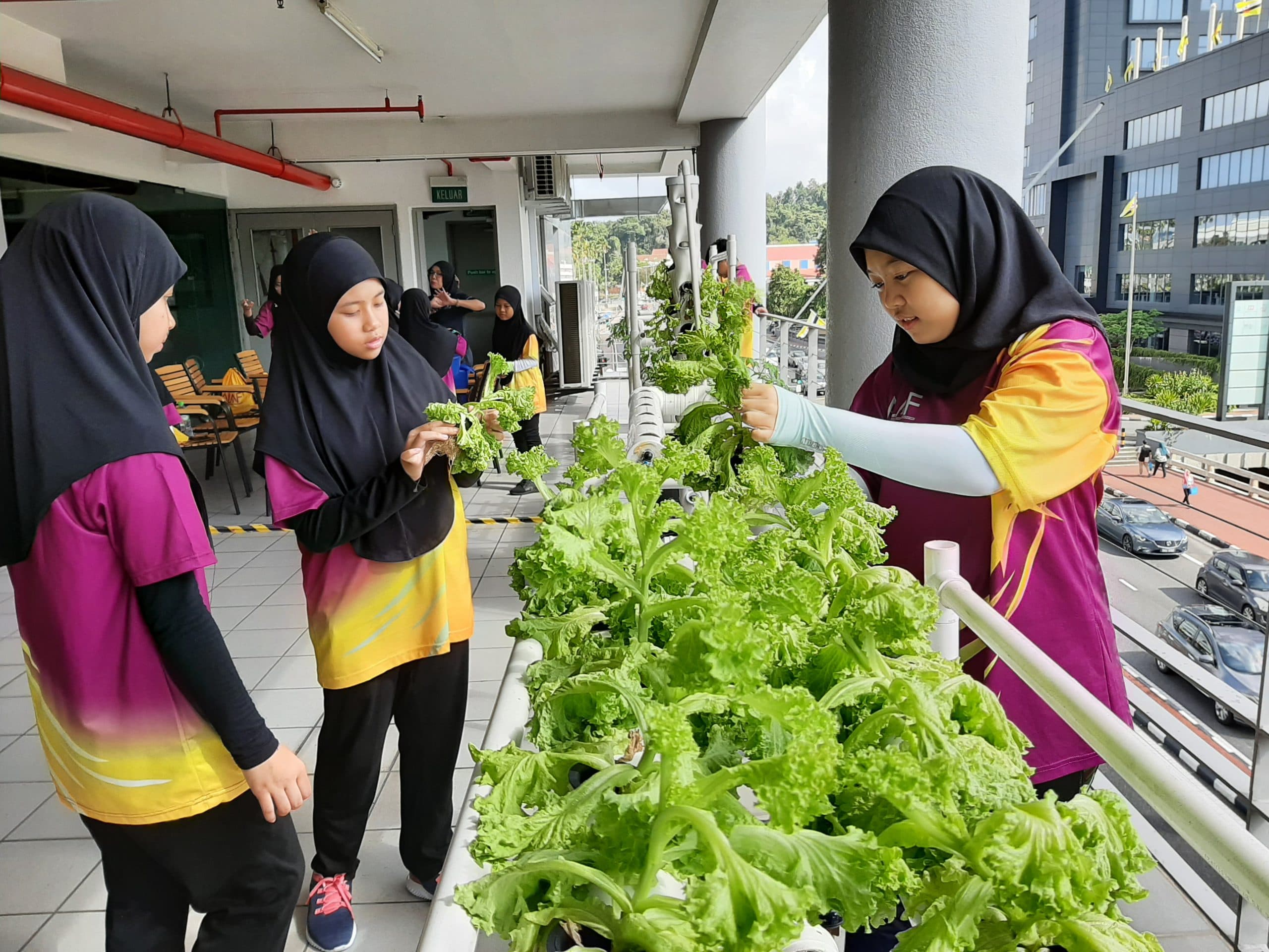 BIBD ALAF programme