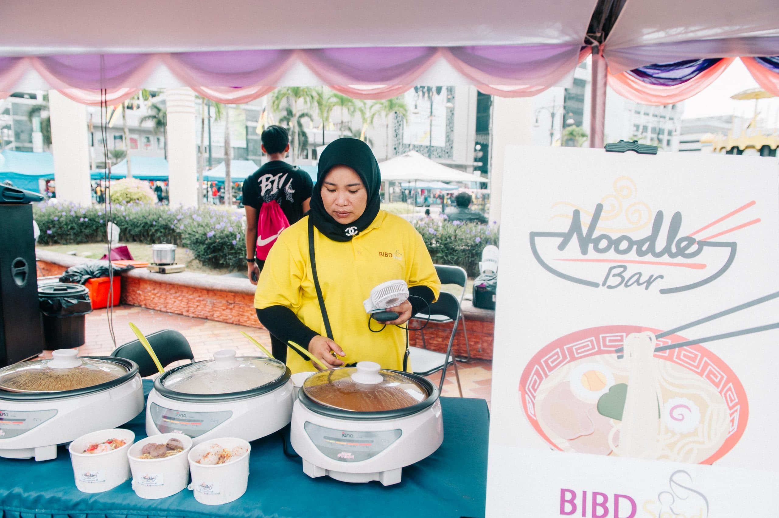 BIBD SEED programme