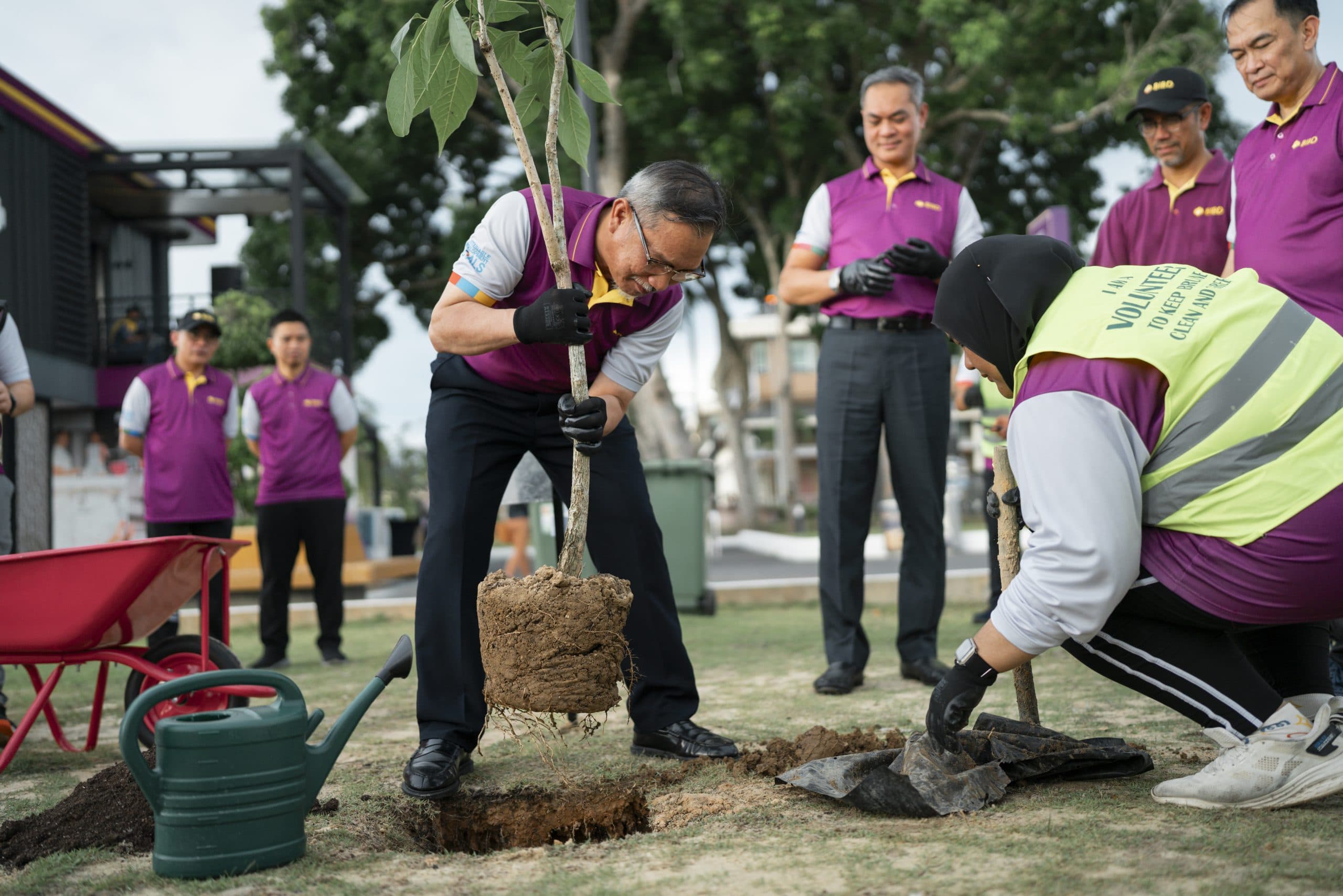 Tree planting across districts