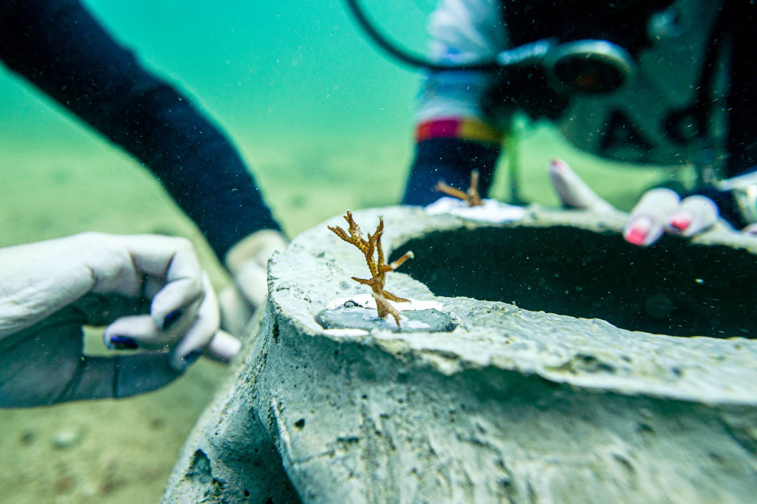 Reef ball deployment