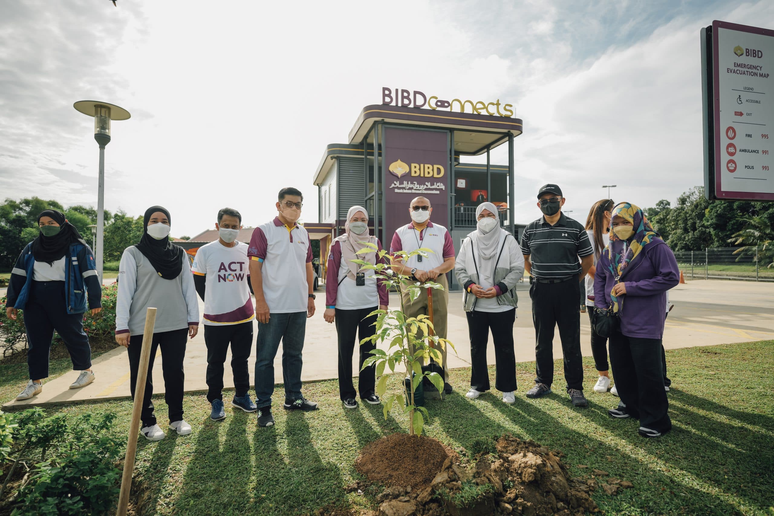 Tree planting activity