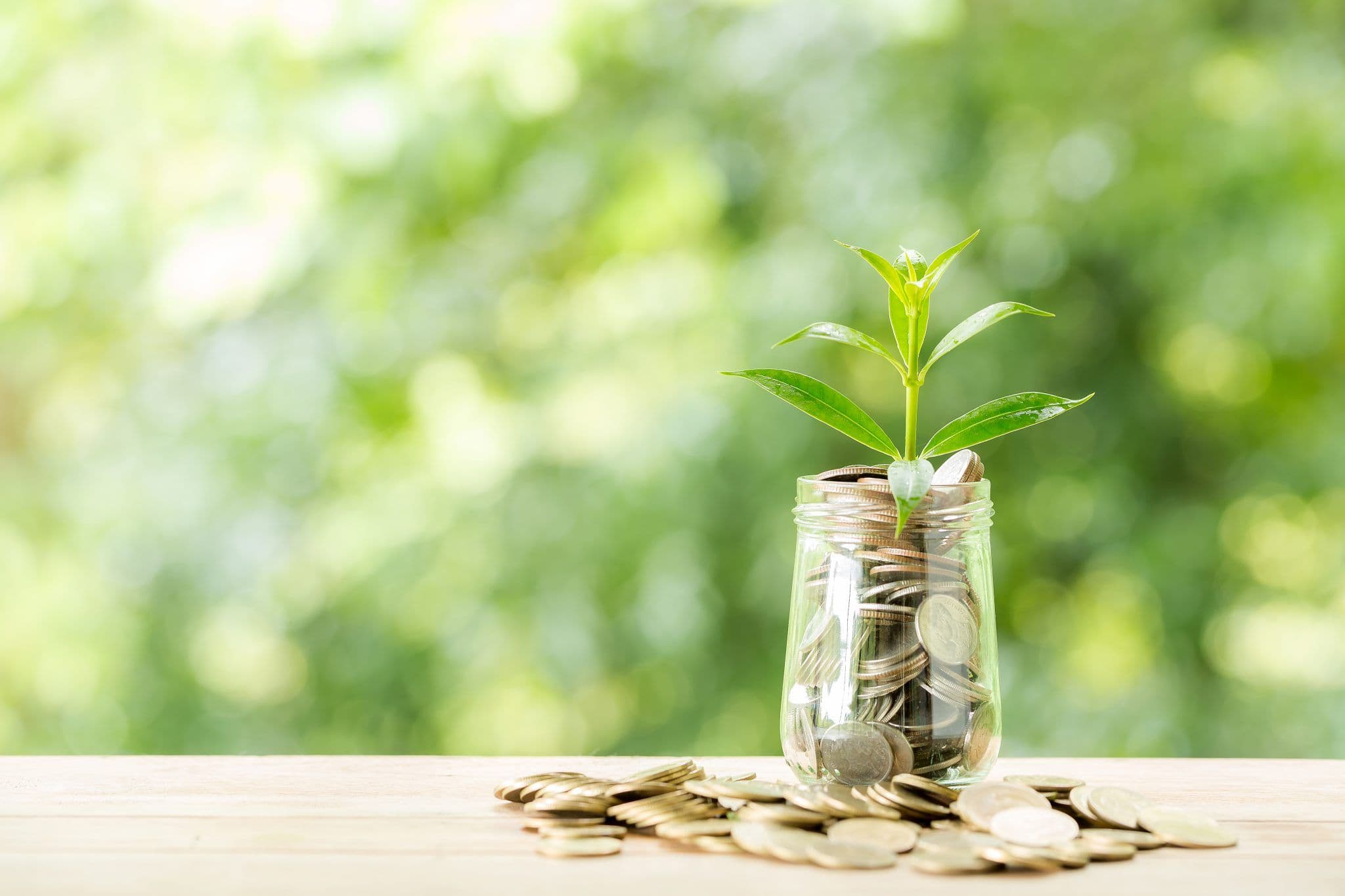 Term Deposit BND Account