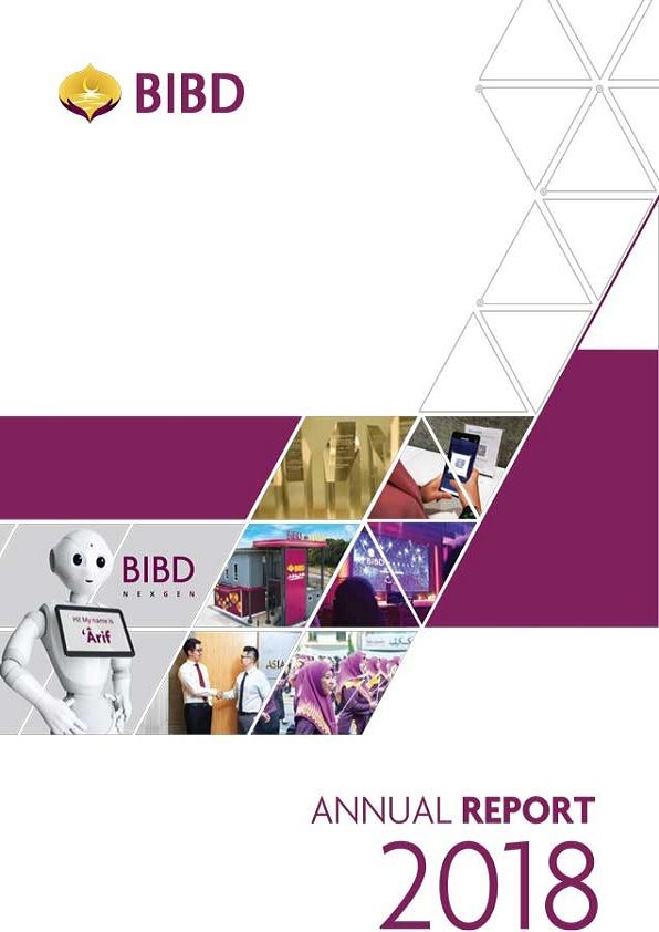 BIBD Annual Report 2018 cover