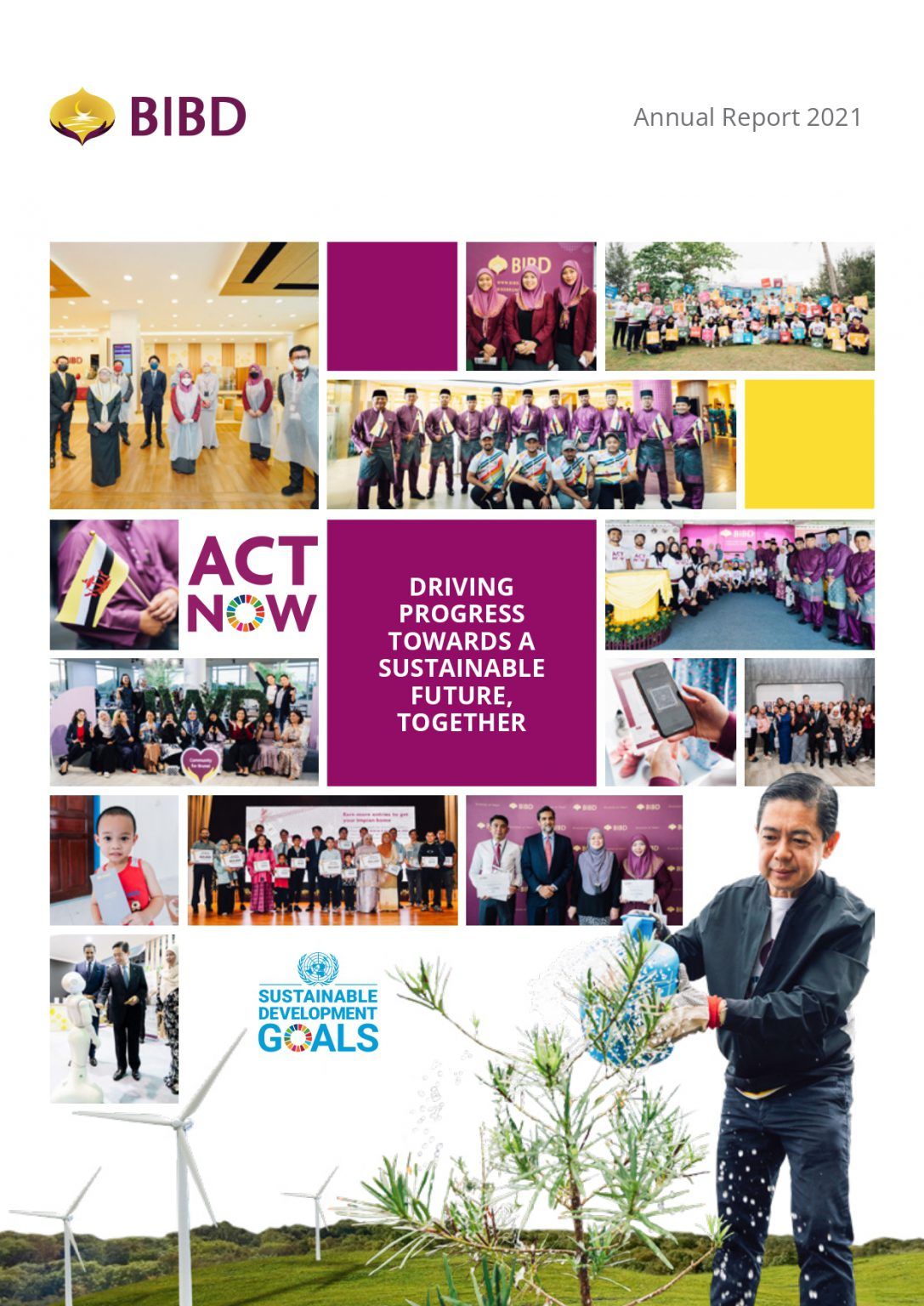 BIBD Annual Report 2021 cover